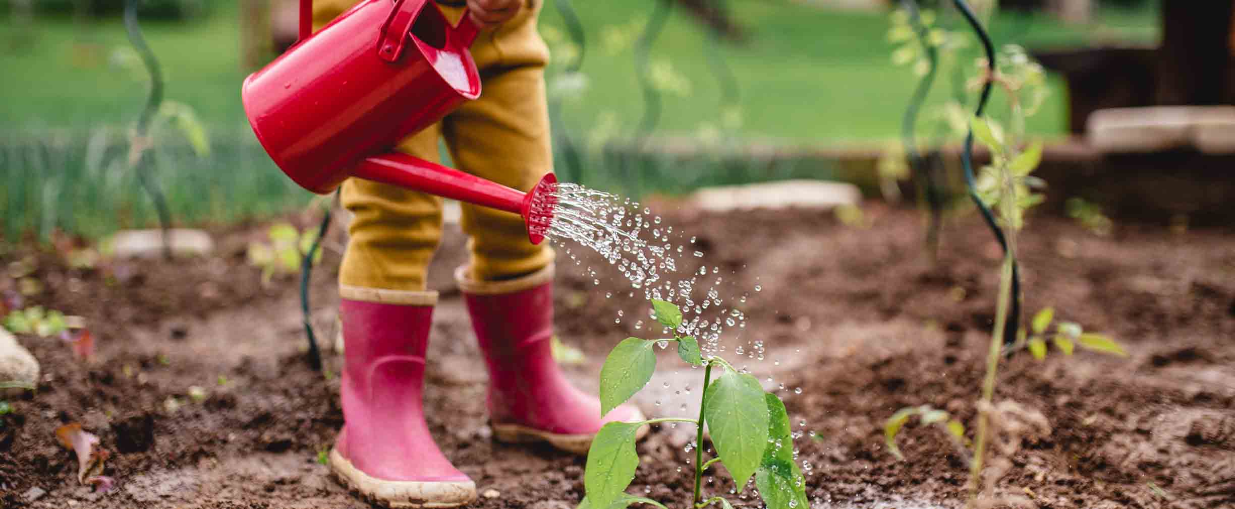 child in rainboots waters plant